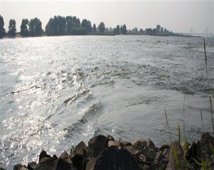 Kribverlaging is vlees noch vis voor ecologie