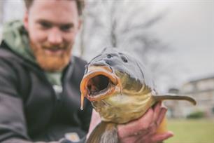 Leestip: Hét VISblad online archief