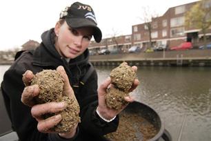 Lokvoer en waterkwaliteit