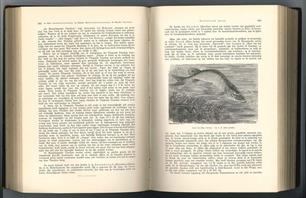 Lucius de Onbarmhartige