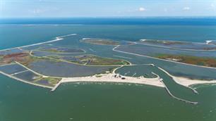 Marker Wadden onderzoek: paradijs voor vissen – in ontwikkeling