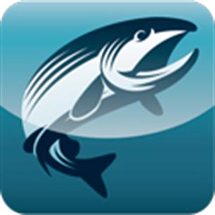 Meer dan 565.000 downloads!