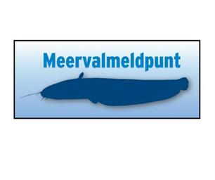 Meervalmeldpunt