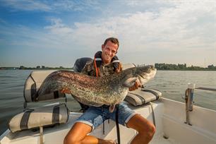 Meld je meervalvangsten!
