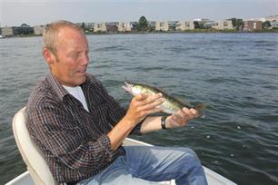 Mijmeren over baars en snoekbaars
