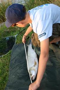 Mijn Vismaat : Van waarneming tot wetenschap