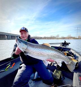 MijnVISmaat foto van de maand: Atlantische forel