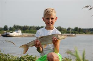 MijnVISmaat foto van de maand: barbeel