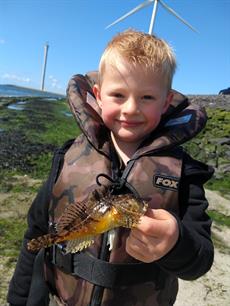 MijnVISmaat foto van de maand: groene zeedonderpad
