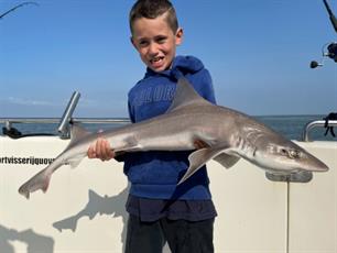 MijnVISmaat foto van de maand: haai