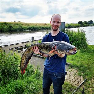 MijnVISmaat foto van de maand: meerval