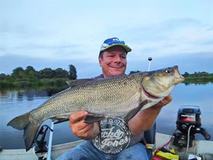 MijnVISmaat foto van de maand: roofblei