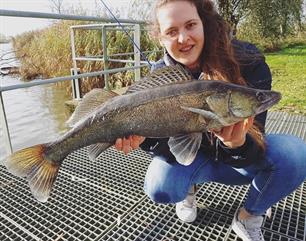 MijnVISmaat foto van de maand: snoekbaars