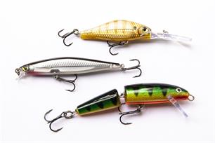 MijnVISmaat roofvisactie