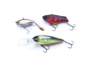 MijnVISmaat roofvisactie