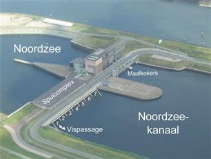 Monitoring van vismigratie in een modern jasje