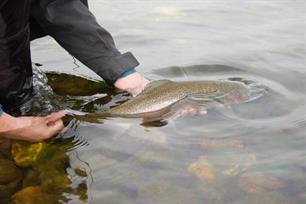 Monitoringsdag Oostvoornse Meer op 27 mei 