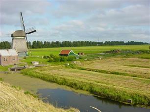 Naar nieuwe wegen naar vismigratie