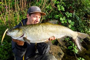 Najaarstips van MijnVISmaat: roofblei en baars