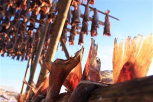 Namibië vist beter dan de EU-landen