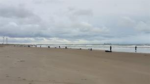 Nationale Teamcompetitie Kust: Team Hengelsport Westland fier aan kop