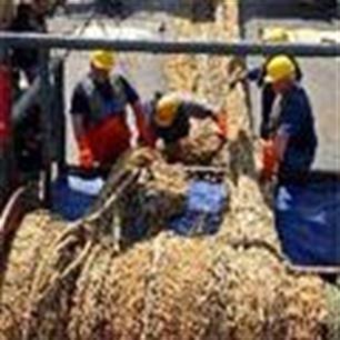 'Nederland doet te weinig tegen illegale visvangst'