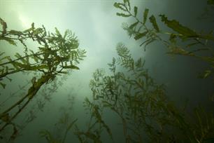 Nederland onder water