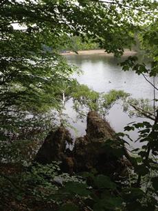 Nieuw leven voor de Chris Agterbosvijver