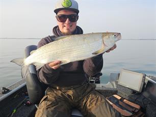 Nieuw Nederlands record houting (video)