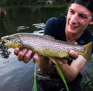 Nieuwe collega: Willem Romeijn