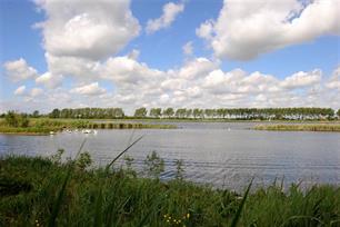 Oevers voor vissen : Evaluatie natuurvriendelijke oevers langs kanalen en boezemwateren