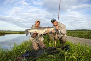 'Oldskool' korstvissen op graskarper met Arnout Terlouw in VIS TV (video)