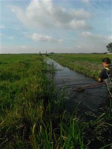 Omdat vissen zwemmen : Afbakening van kunstmatige KRW-waterlichamen tegen het licht gehouden