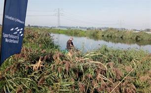 Ondanks wespensteken wint Elron van den Broek het Open NK Feedervissen 2023