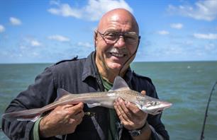 Onderzoek naar haaien en roggen: pupping grounds