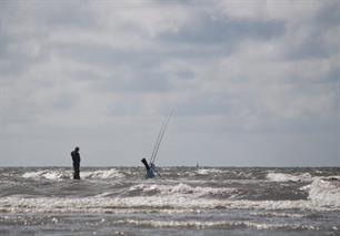 Onderzoek signaleert risico's van exotische zeeaas