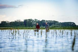 Op witvis en karper in de uiterwaarden VIS TV (video)