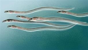 Op zoek naar het riool