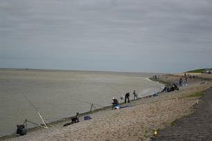 Open NK Kustvissen in Harlingen