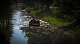 Overdaad schaadt : Relatie waterplanten, vis en visserij complex