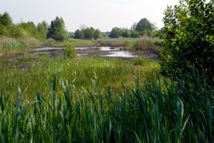 Overleven in de modder