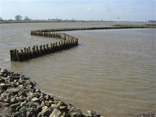 Palen voor vis : Afgeschermde kribvakken goed voor visstand