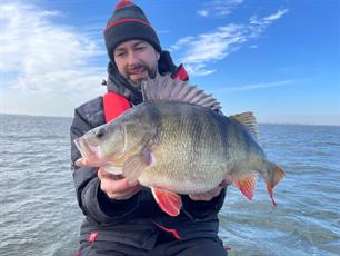 PERCHTRACK: onderzoek met zendertjes naar grote baars in Haringvliet en Hollandsch Diep (video)
