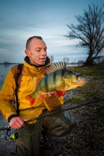 Praktijktest met de Ned rig in VISblad TV (video)