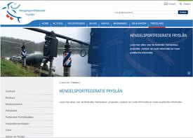 printscr_hsf_fr_fr_nov08