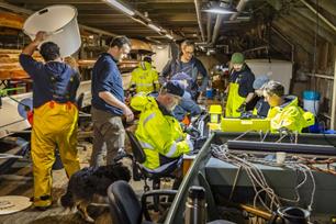 Project De Rijn Verbindt: onderzoek naar knakalen door scheepsschroeven (video)