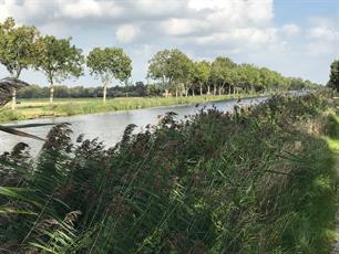 Raad van State staat aanleg visvlonders Steenwijkerdiep toe