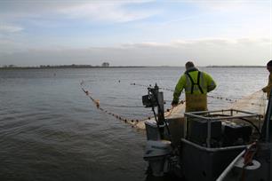 Rechtbank staat onbeperkte beroepsvisserij Biesbosch toe