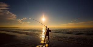 Record zeevissen website (NCRZ) make-over