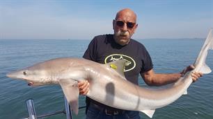 Recordhaai aangeland